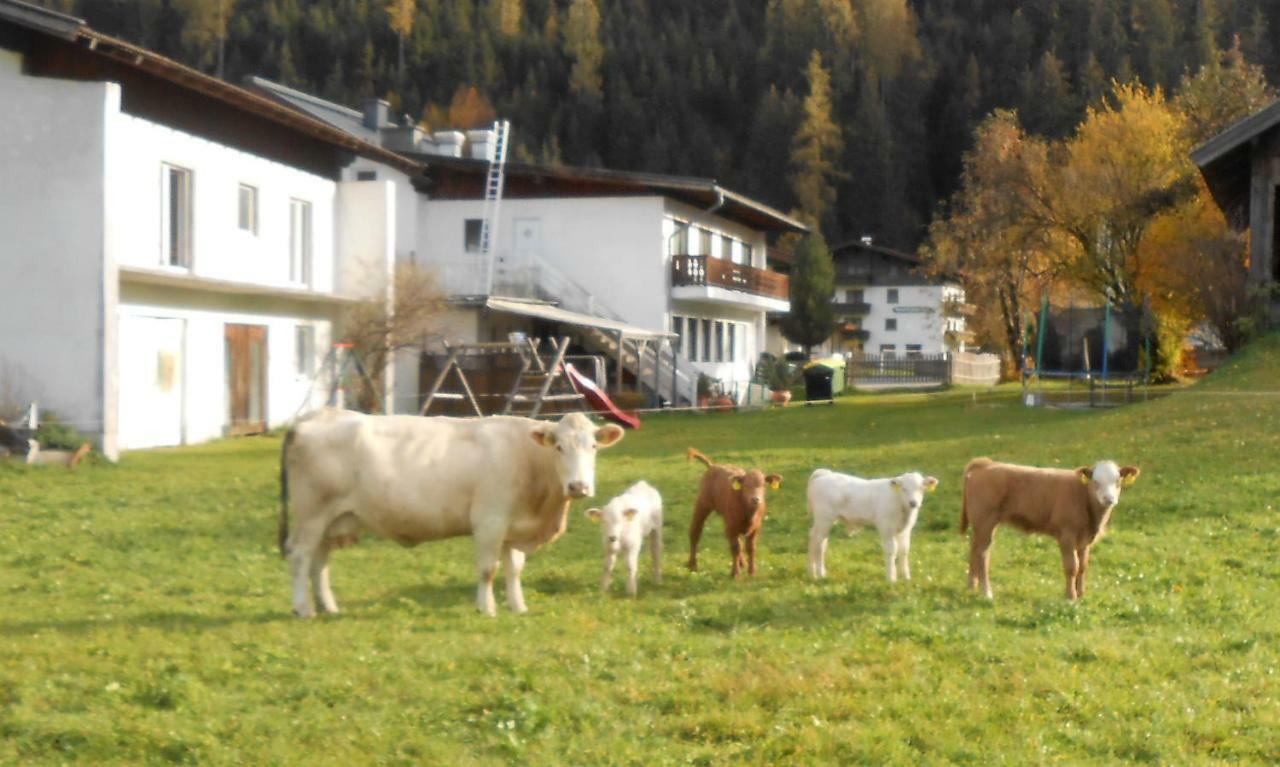 Ferienhaus Dankl Hollersbach im Pinzgau Esterno foto
